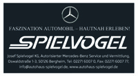 Spielvogellogo k